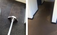 Emergency Carpet Water Damage Restoration Adelaide image 2